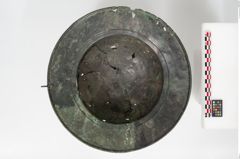 Foto von Bronzebreitrandfußschale (NHMW-PRAE-025437)